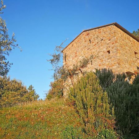 Cottage La Torre Del Pittore โบนัสโซลา ภายนอก รูปภาพ