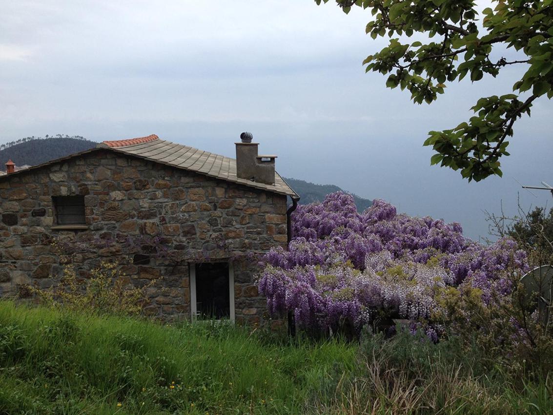 Cottage La Torre Del Pittore โบนัสโซลา ภายนอก รูปภาพ