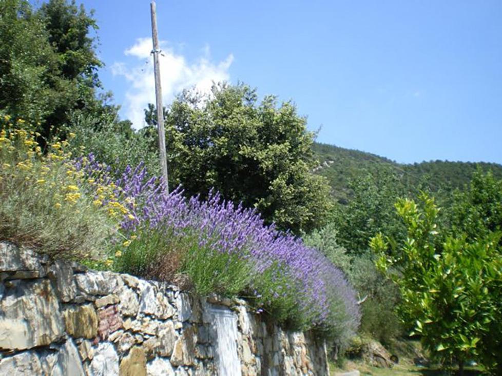 Cottage La Torre Del Pittore โบนัสโซลา ภายนอก รูปภาพ