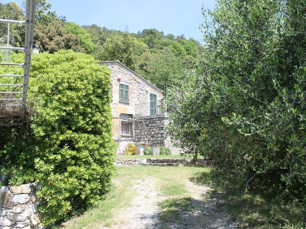 Cottage La Torre Del Pittore โบนัสโซลา ภายนอก รูปภาพ