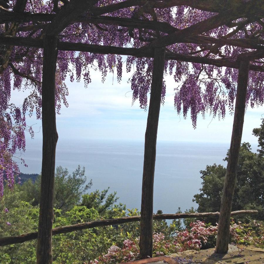 Cottage La Torre Del Pittore โบนัสโซลา ภายนอก รูปภาพ