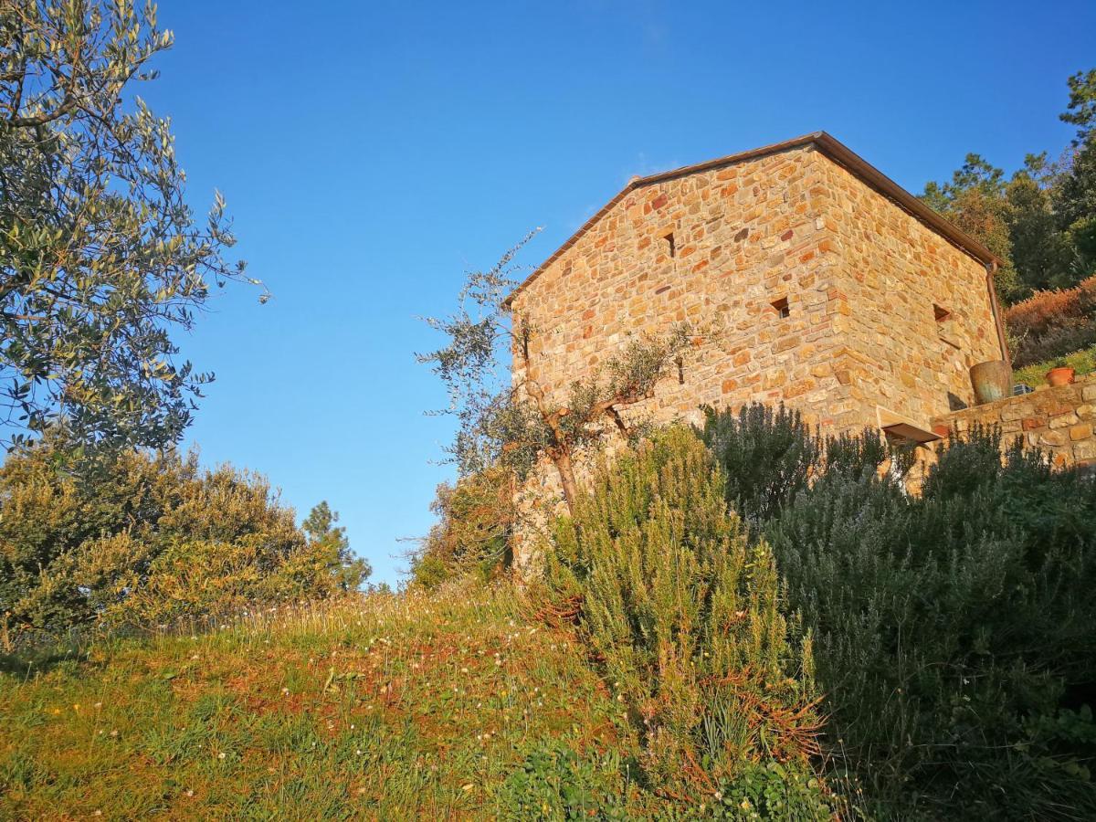 Cottage La Torre Del Pittore โบนัสโซลา ภายนอก รูปภาพ